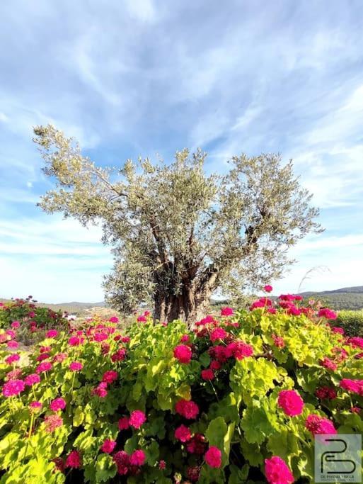 Casa Can Lluc Con Piscina, Jardin Y Vista Al Campo Sant Miquel De Balansat Exterior photo